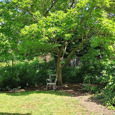 Nostalgie-Nest Mit Boxspringbett Lägenhet Mayen Exteriör bild